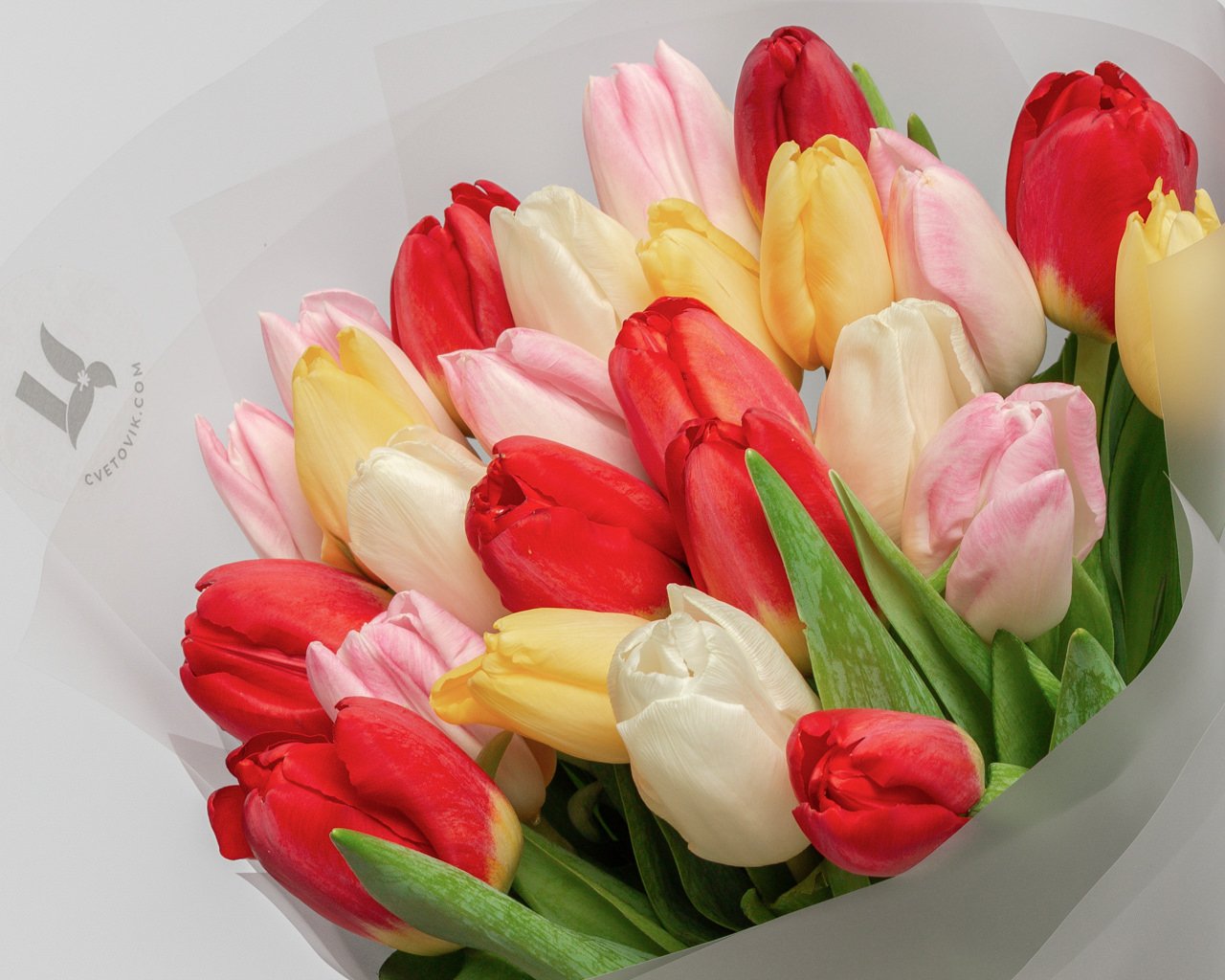 Букет из 25 тюльпанов стандарт микс в стильной упаковке - 4