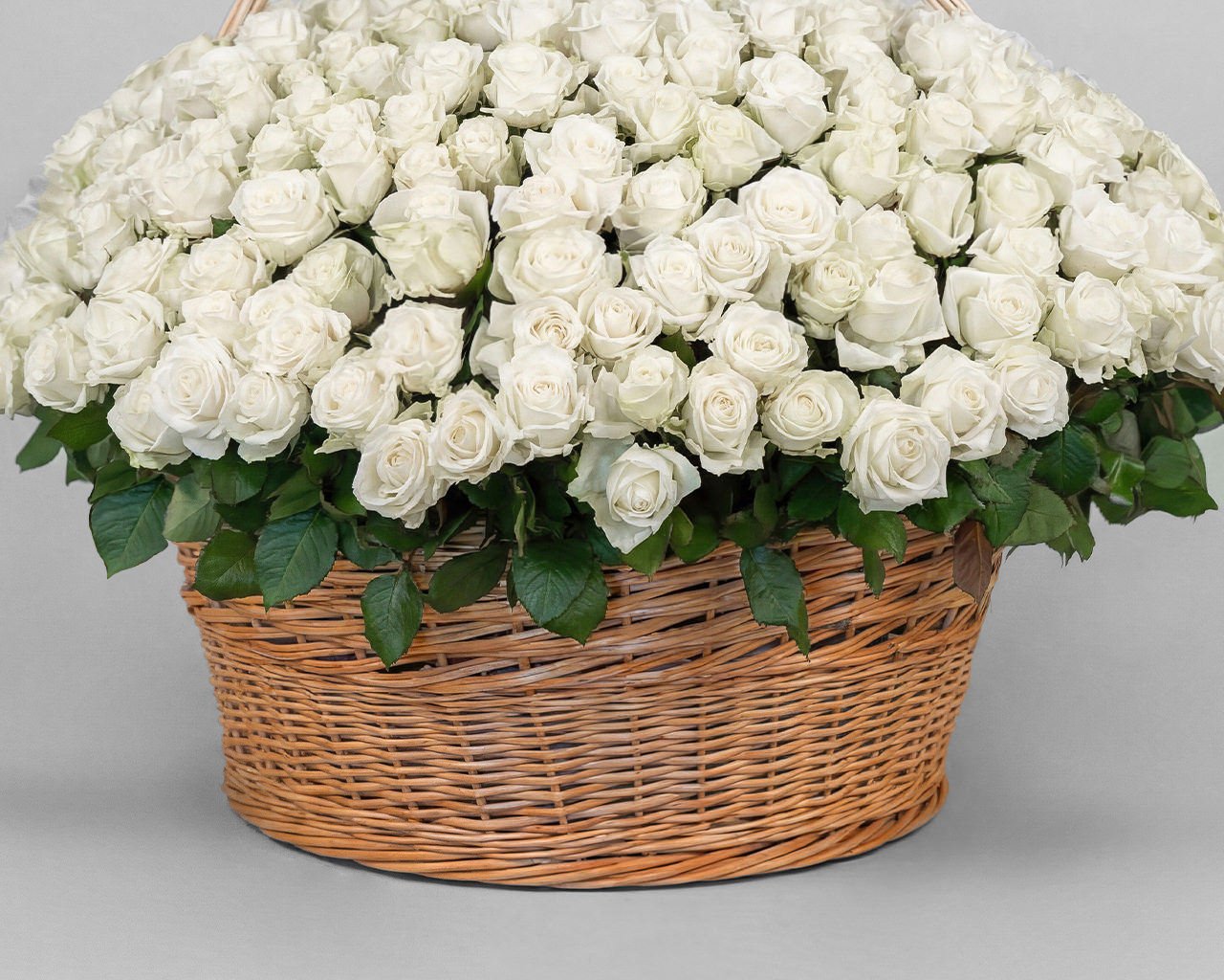 Корзина цветов из 351 белой розы 50-60 см (Эквадор) - 2