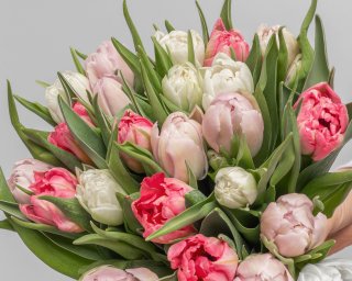 Букет из 25 тюльпанов пионовидных микс под ленту  small - 3