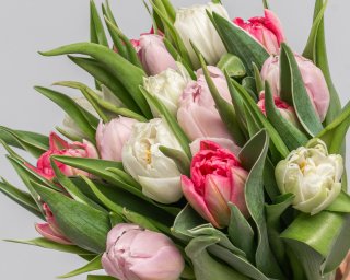 Букет из 15 тюльпанов пионовидных микс под ленту  small - 3