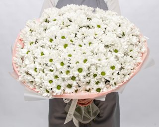 Букет из 35 белых хризантем Бакарди в упаковке  small - 3