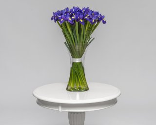 Ирисы синие  small - 3