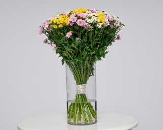 Сантини микс  small - 2