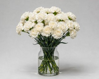 Пачка из 25 белых гвоздик  small - 3