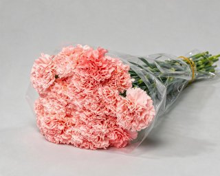 Пачка из 25 розовых гвоздик  small - 2