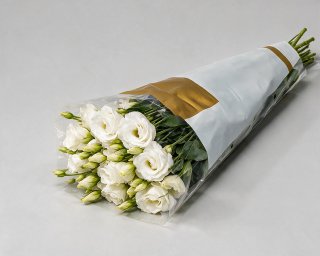 Пачка из 10 белых эустом  small - 2