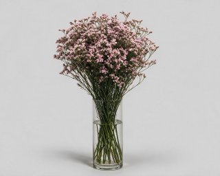 Пачка из 10 ветвей лимониума  small - 3