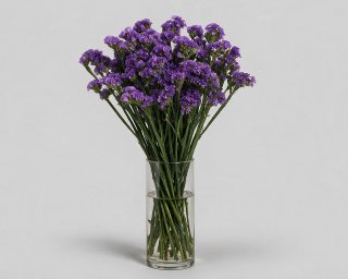 Пачка из 10 ветвей статицы  small - 3