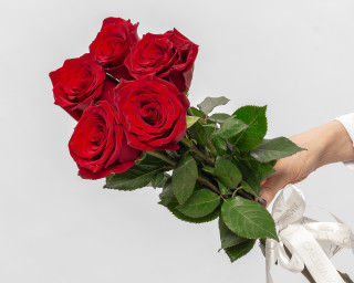 Букет из красной премиум розы 40-50 см (Эквадор) под ленту        5 шт small - 1