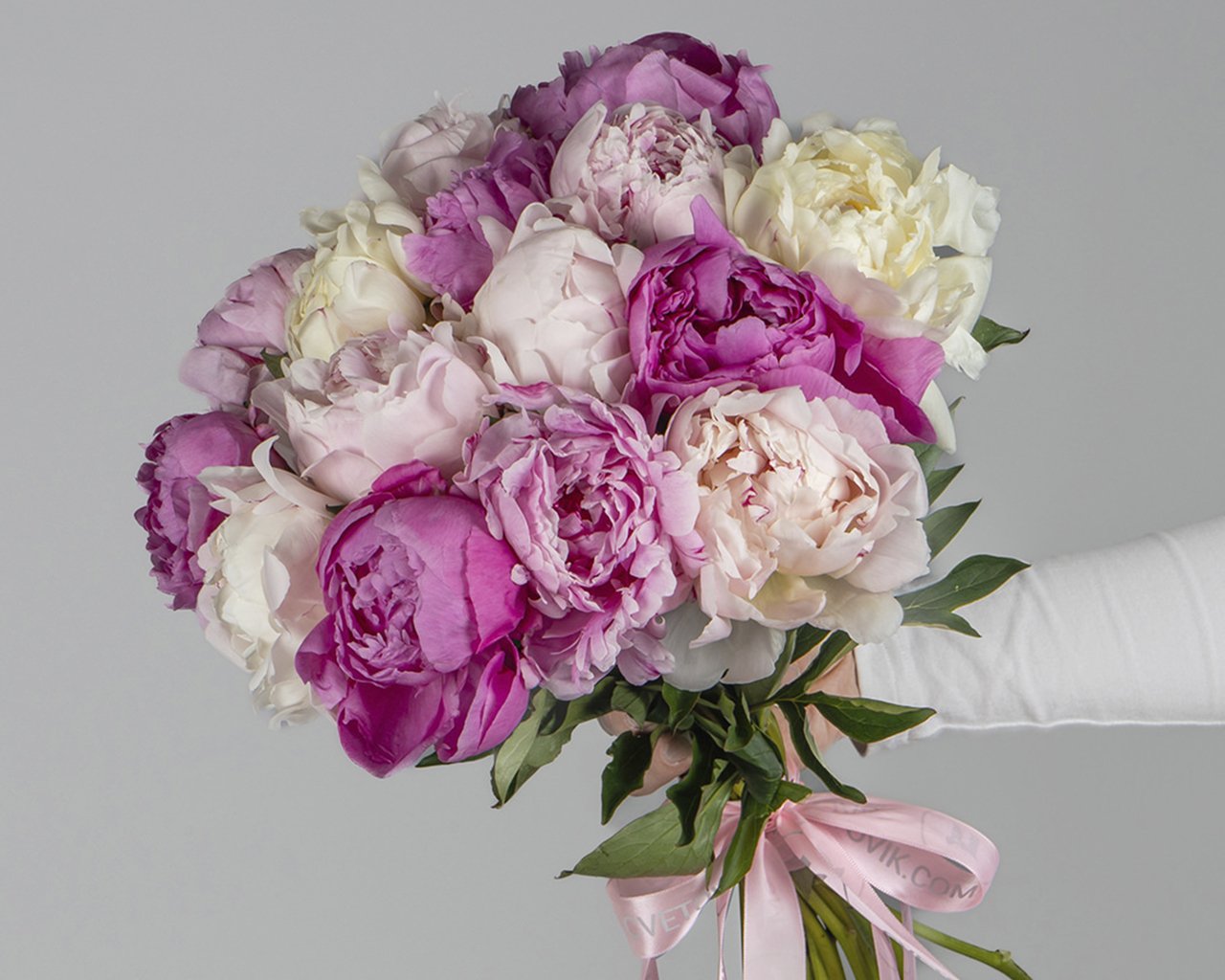 Букет из пионов микс (Сара Бернар) под ленту   15 шт - 2