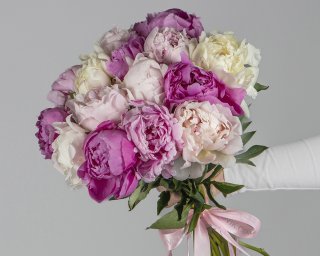 Букет из пионов микс (Сара Бернар) под ленту   15 шт small - 2