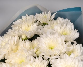 Букет из белой хризантемы в упаковке      5 шт small - 3