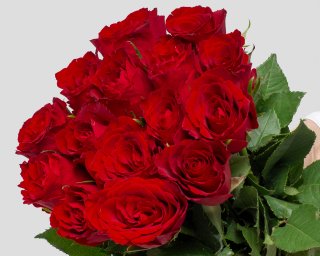 Букет из красных роз (Кения) 35-40 см под ленту     15 шт small - 4
