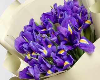 Букет цветов из ирисов в упаковке     15 шт small - 4