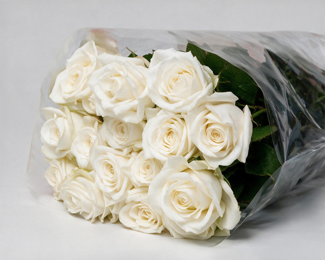 Пачка из 15 белых роз (Россия) 40 см - 1