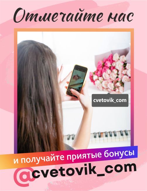 Цветовик бонусная карта